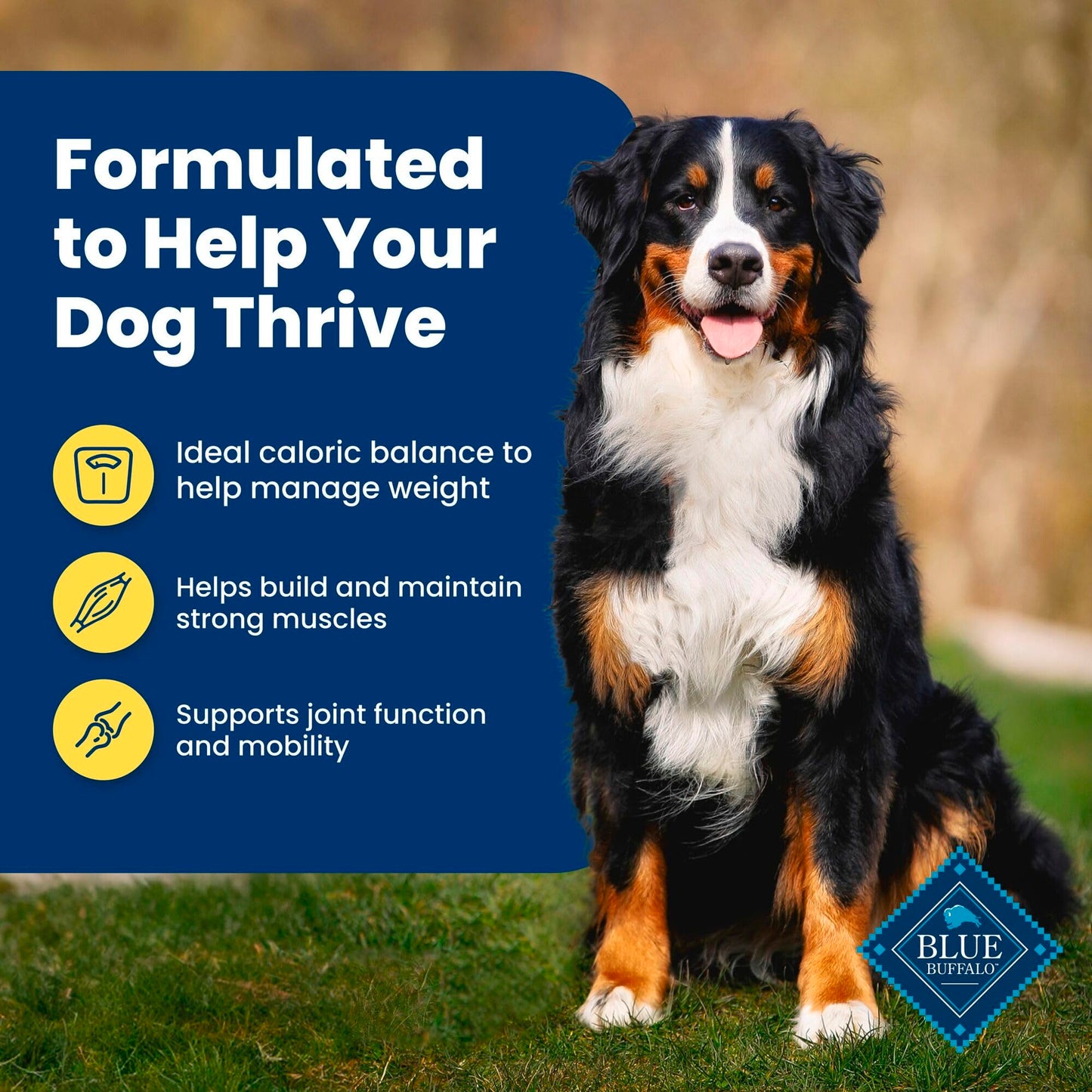 Blue Buffalo Life Protection Formula Natural Adult Dry Dog Food, Chicken and Brown Rice 5-lb Trial Size Bag