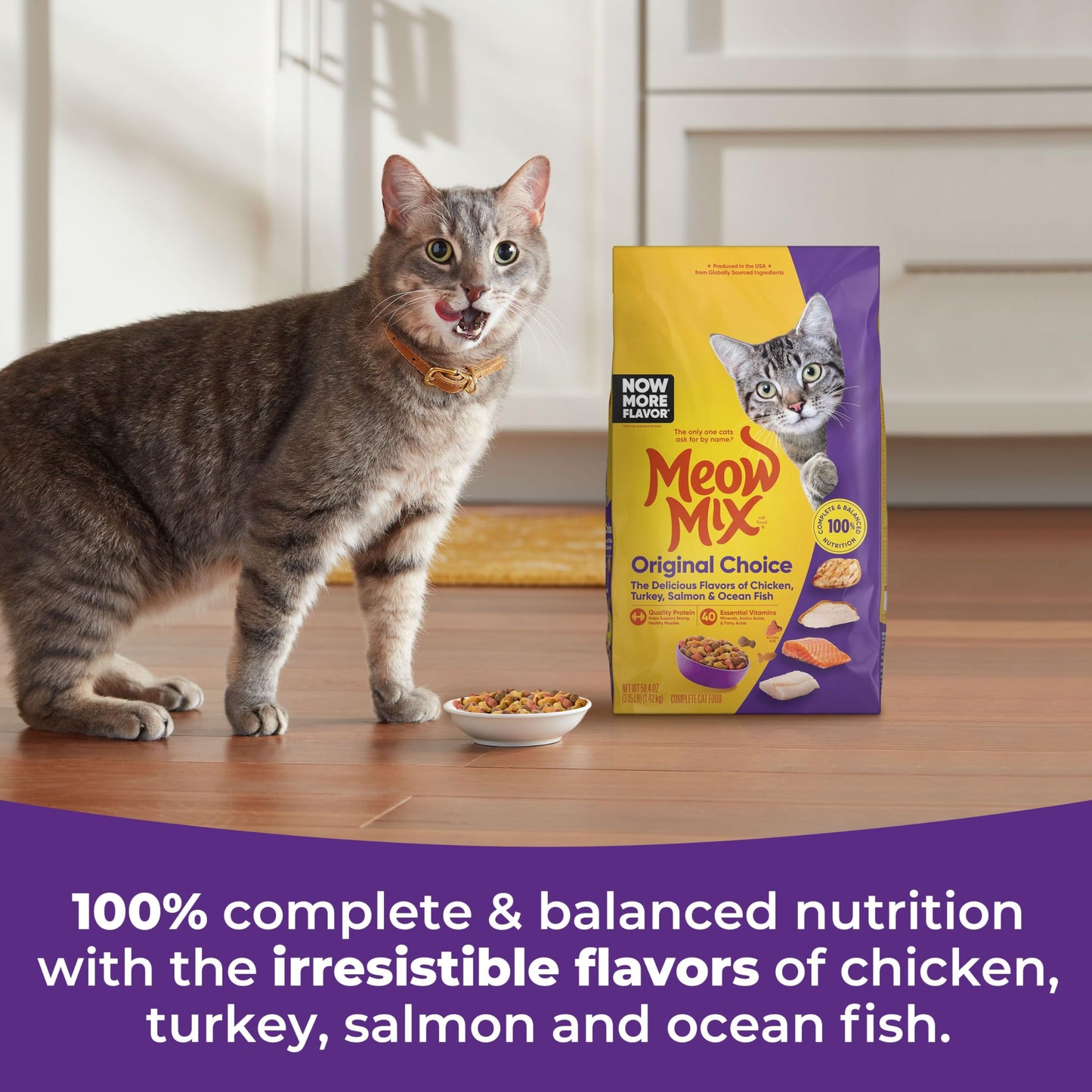 Meow Mix Original Choice Dry Cat Food, 6.3 Pound Bag
