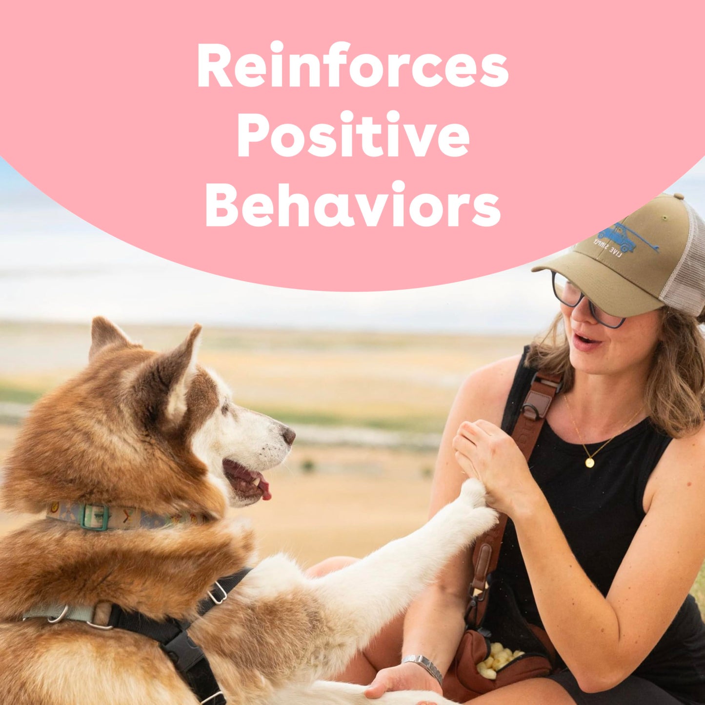 Pupford Freeze Dried Training Treats for Dogs & Puppies, 475+ Three Ingredient Bites (Beef Liver, 4 oz)