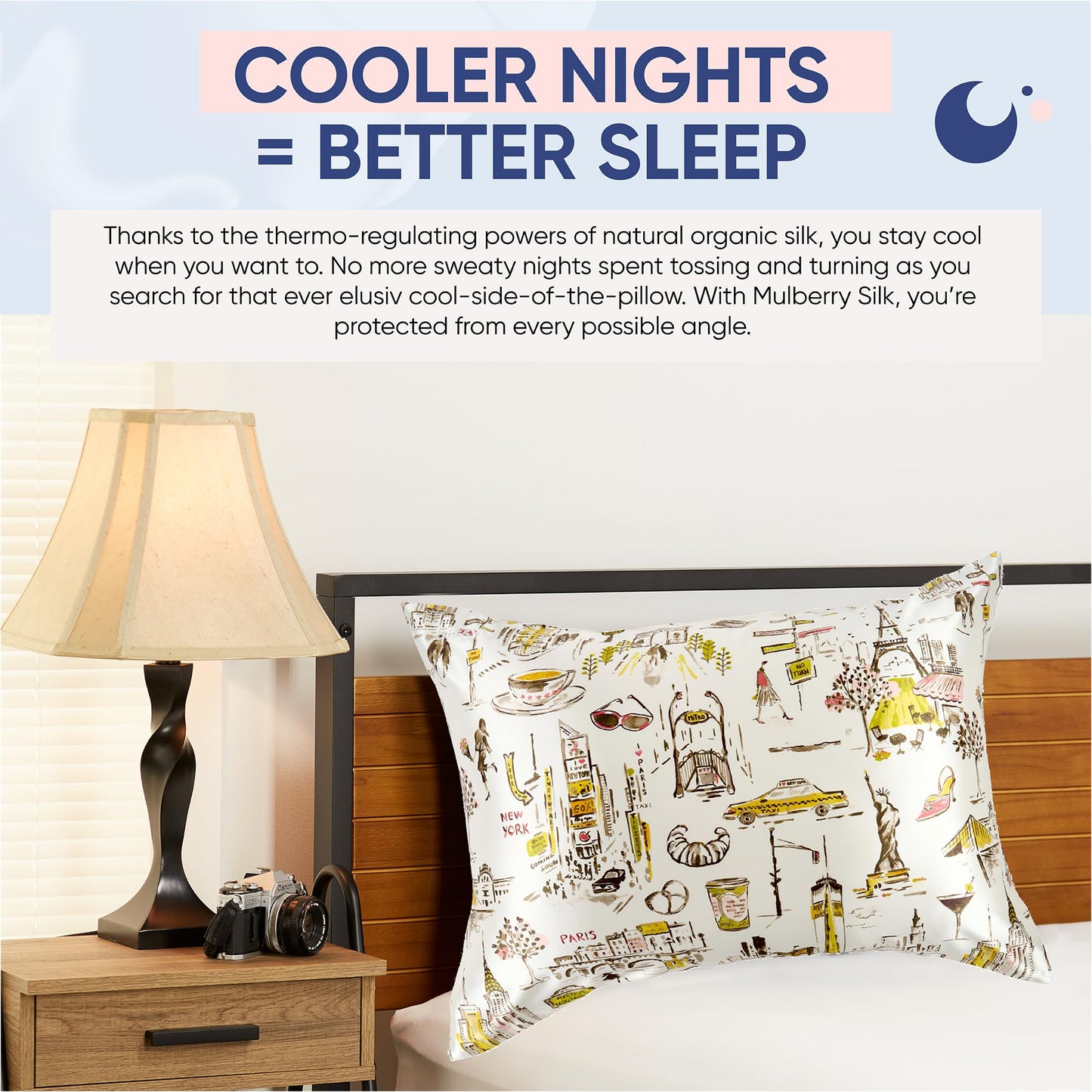 Blissy Silk Pillowcase - 100% Pure Mulberry Silk - 22 Momme 6A High-Grade Fibers - Silk Pillow Cover for Hair & Skin - Regular, Queen & King (Blissy White, Standard)