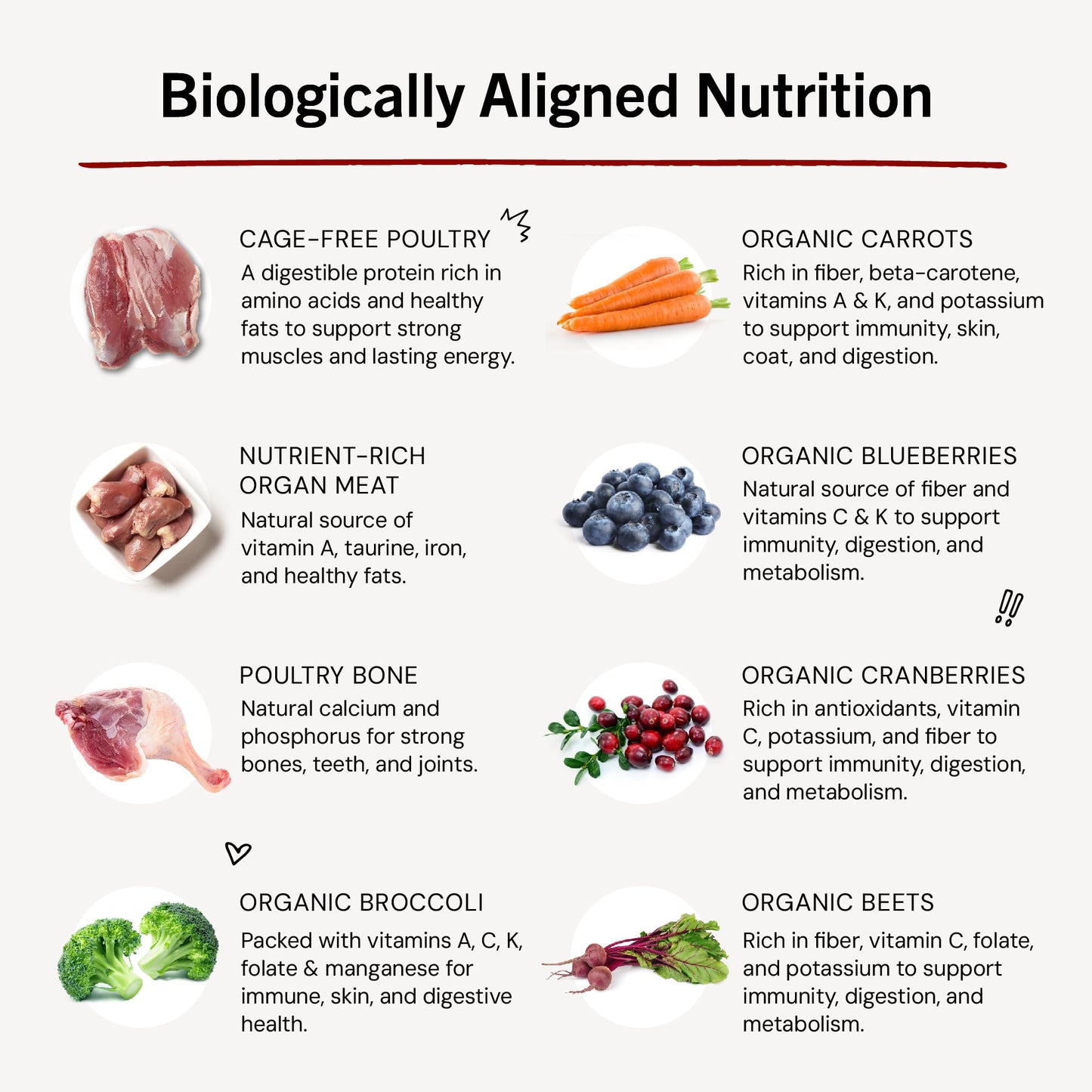 Stella & Chewy's Freeze-Dried Raw Chicken Meal Mixers- Dog Food Topper and Mixer - Made with 95% Cage-Free Chicken, Organs & Bone - Perfect for Picky Eaters - Grain-Free - 3.5oz