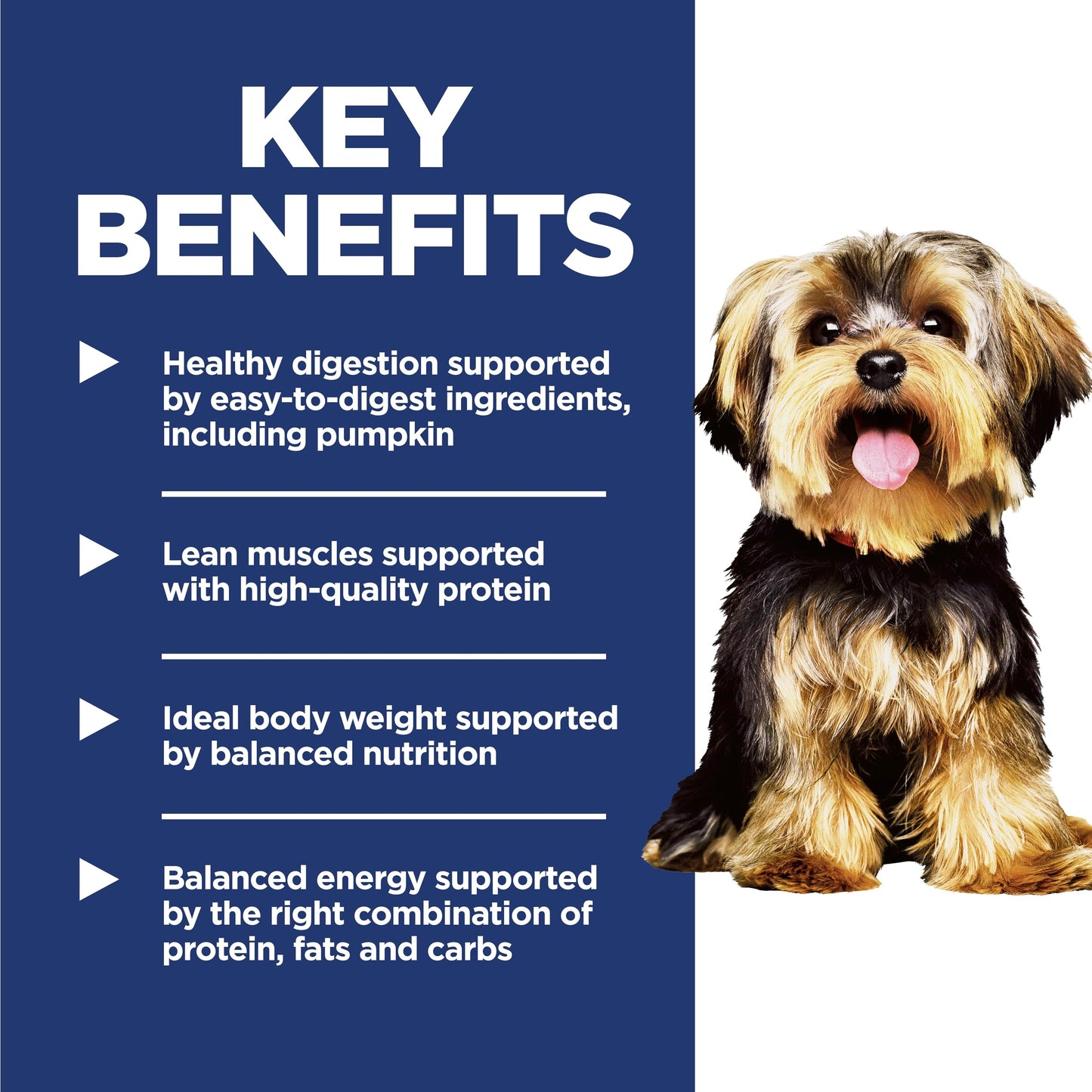 Hill's Science Diet Small & Mini, Adult 1-6, Small & Mini Breeds Premium Nutrition, Dry Dog Food, Chicken & Brown Rice, 4.5 lb Bag