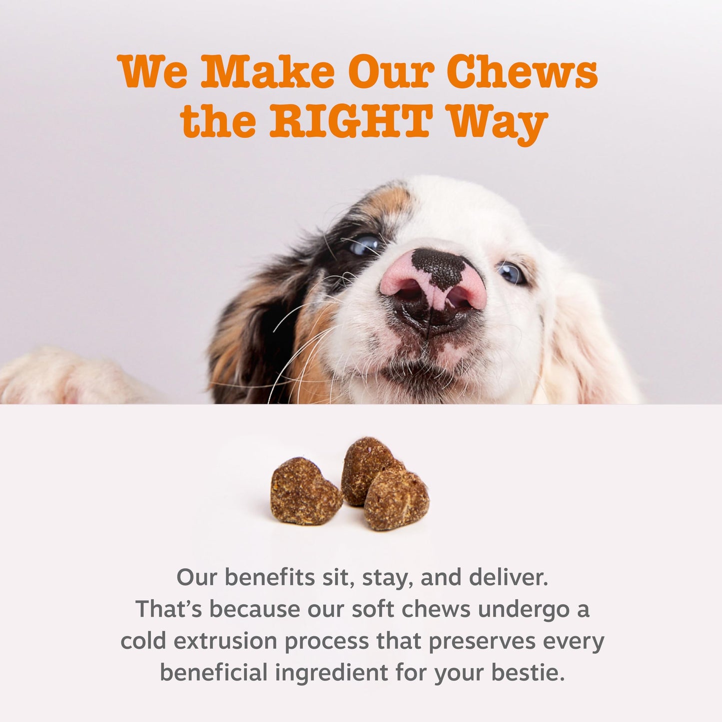 Zesty Paws Probiotics for Dogs - Digestive Enzymes for Gut Flora, Digestive Health, Diarrhea & Bowel Support - Clinically Studied DE111 - Dog Supplement Soft Chew for Pet Immune System - Pumpkin