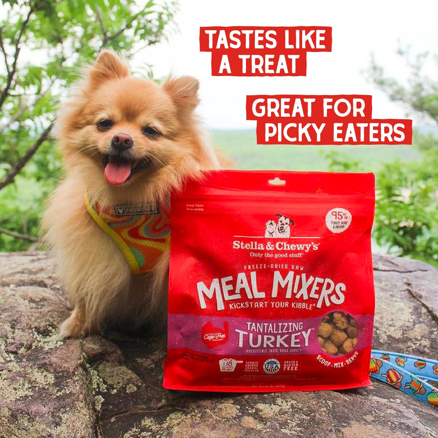Stella & Chewy's Freeze-Dried Raw Chicken Meal Mixers- Dog Food Topper and Mixer - Made with 95% Cage-Free Chicken, Organs & Bone - Perfect for Picky Eaters - Grain-Free - 3.5oz