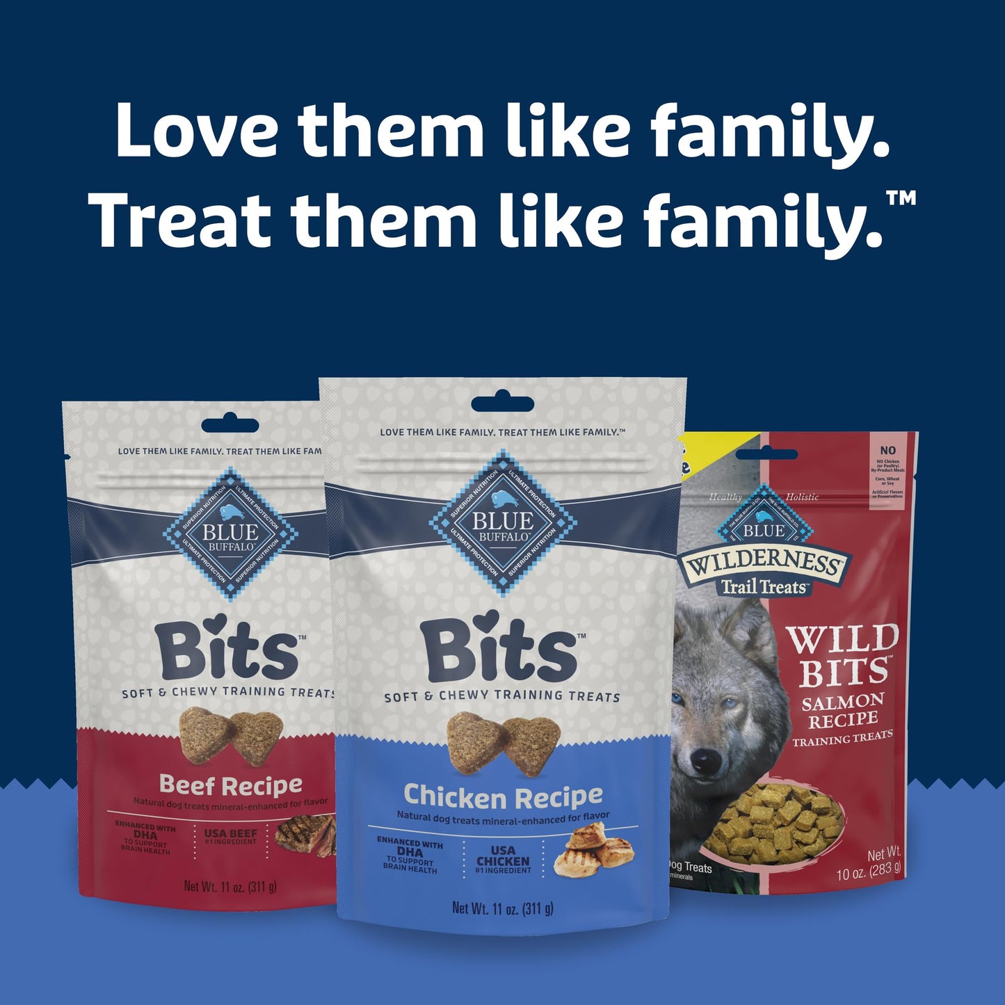 Blue Buffalo Bits Soft Dog Treats for Training, Made With Natural Ingredients & Enhanced with DHA, Chicken Recipe, 19-oz Bag