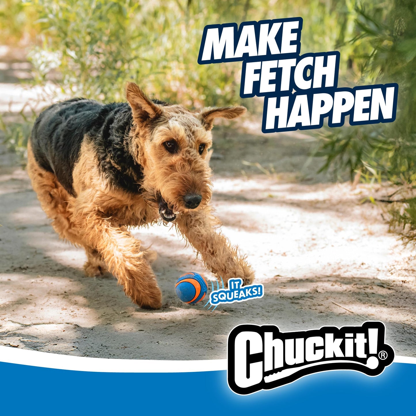 Chuckit! Ultra Ball Dog Toy - Medium Bouncy Fetch Balls For Dogs 20-60 lbs - Made from Durable Rubber - Floating Water Pet Toys - Size Medium - 2.5-inch Diameter - Pack of 2