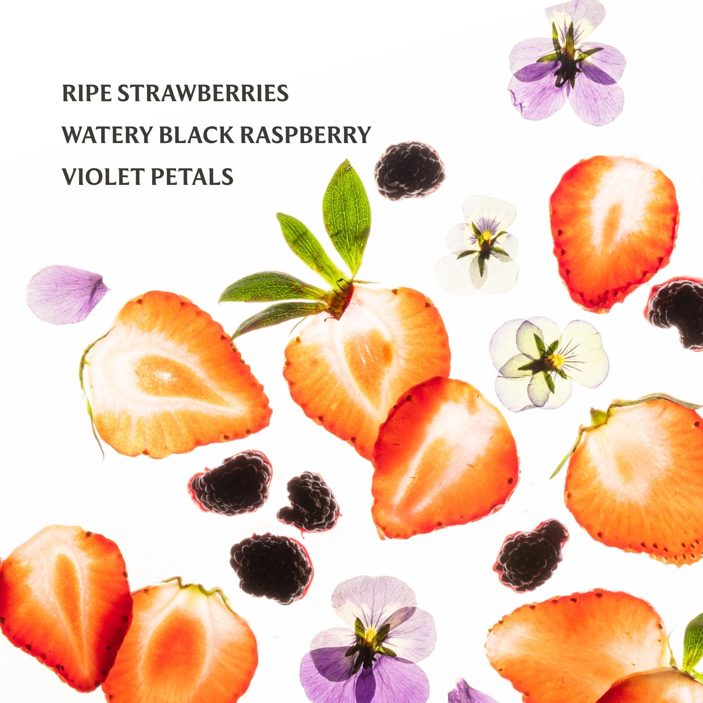 Touchland Special Edition Confetti Cake Mist + Frosted Sparkle Case Set, Scented & Stylish Hydrating Hand Sanitizer Spray Bundle, Travel Size, Dye Free, Amazon Exclusive