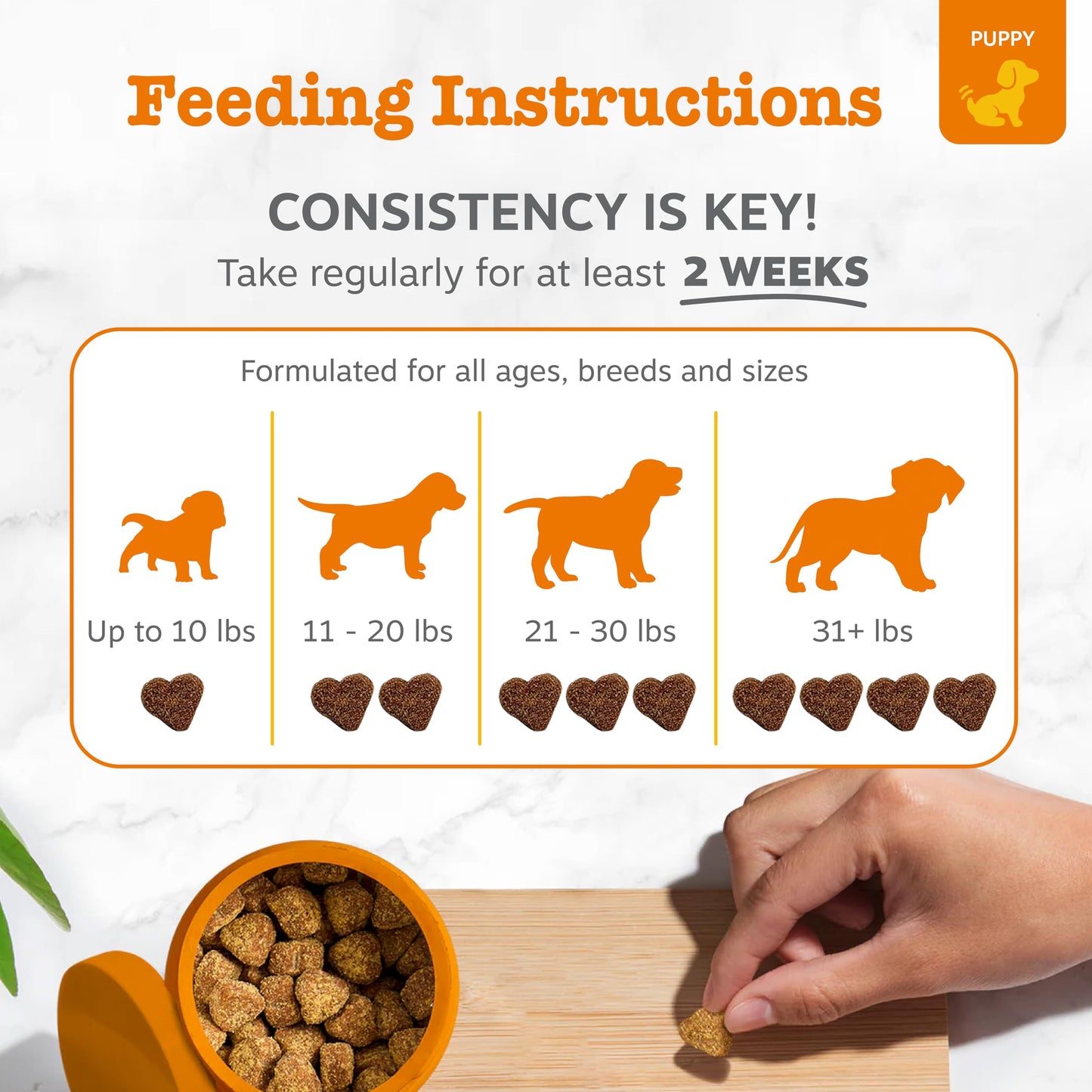 Zesty Paws Probiotics for Dogs - Digestive Enzymes for Gut Flora, Digestive Health, Diarrhea & Bowel Support - Clinically Studied DE111 - Dog Supplement Soft Chew for Pet Immune System - Pumpkin