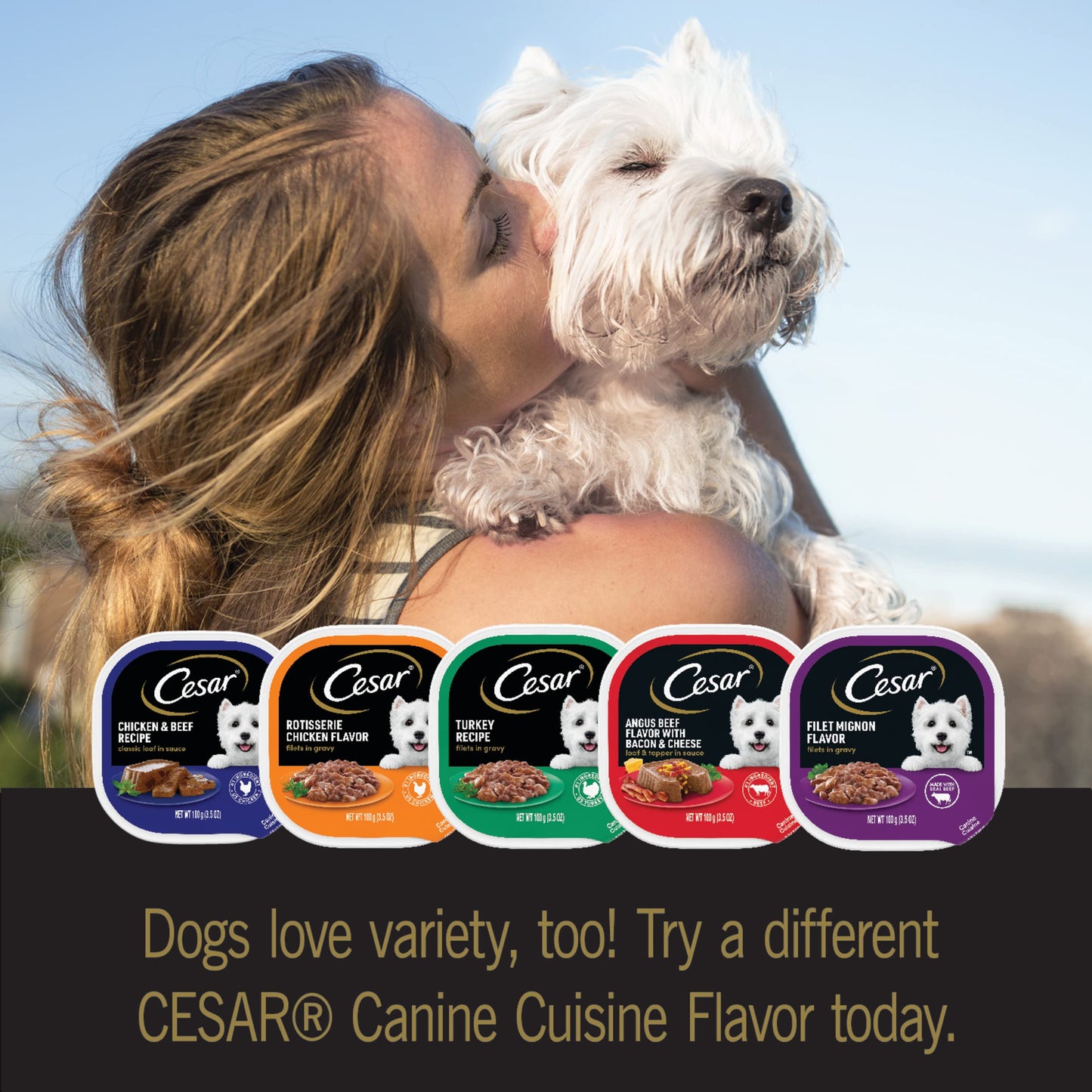 Cesar Wet Dog Food Classic Loaf in Sauce Grilled Chicken, Filet Mignon, Porterhouse Steak, Beef, Chicken & Liver and Turkey Variety Pack 3.5 oz. Easy Peel Trays (36 Count, Pack of 1)