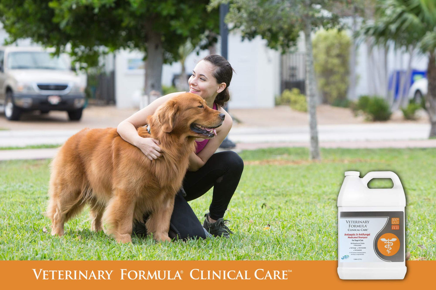 Veterinary Formula Clinical Care Antiseptic and Antifungal Medicated Shampoo for Dogs & Cats, 16 Fl Oz – Helps Alleviate Scaly, Greasy, red Skin – Paraben, Dye, Soap-Free (1 Pack)