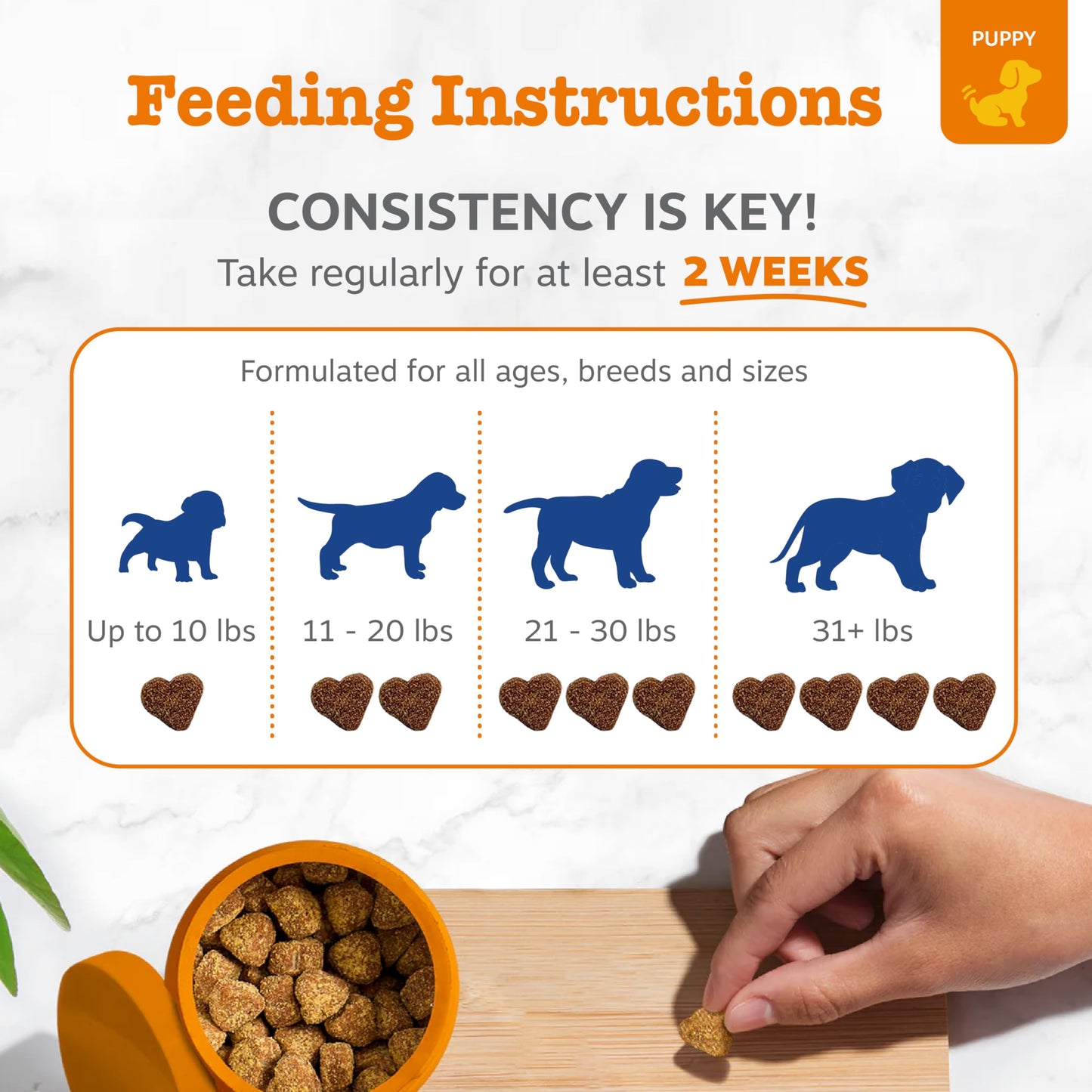 Zesty Paws Dog Multivitamin, Chewable Dog Vitamins and Supplements for Hip & Joints, Skin & Coat, Omega 3 Fish Oil for Dogs- Senior & Puppy Multivitamin- Chicken- 90ct