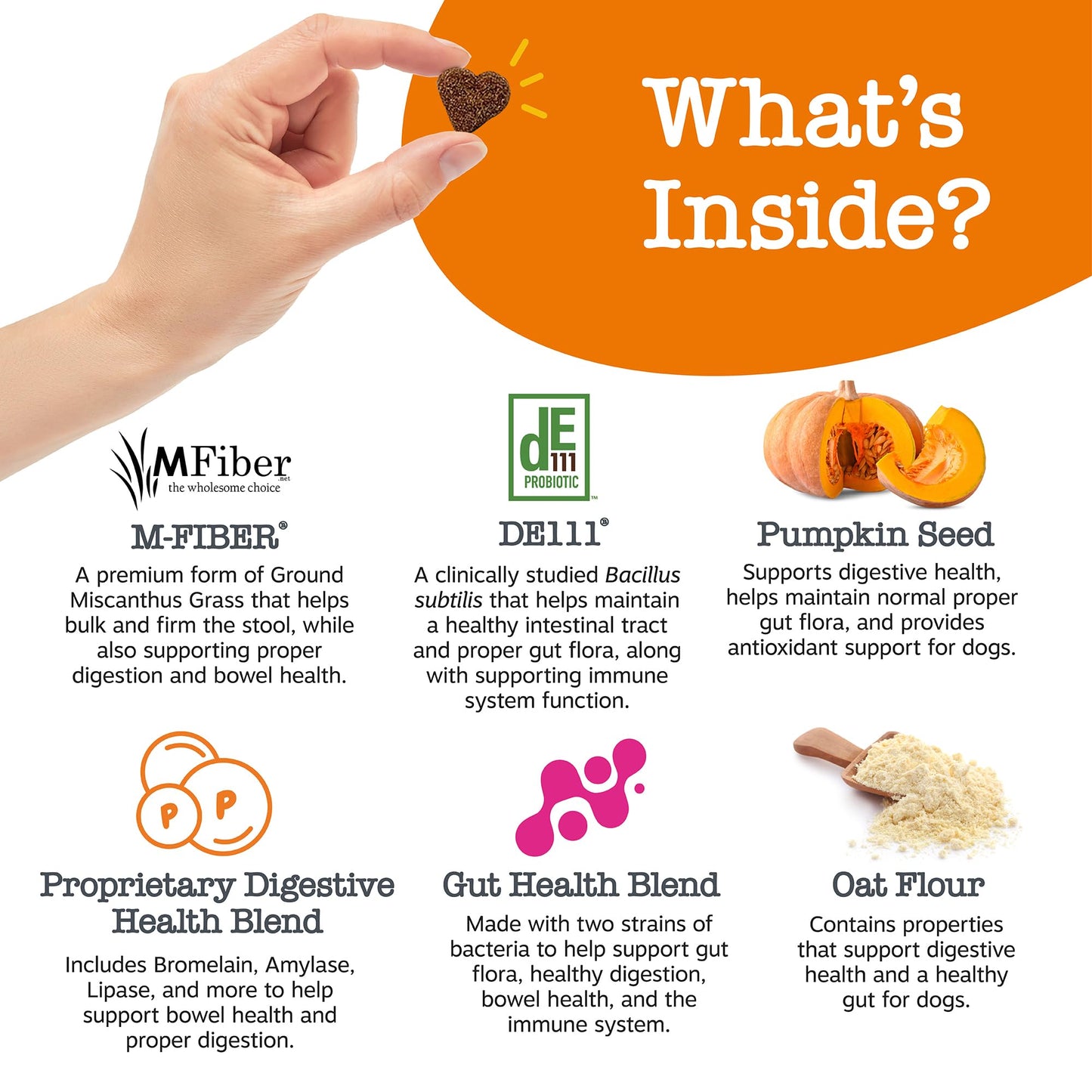 Zesty Paws Probiotics for Dogs - Digestive Enzymes for Gut Flora, Digestive Health, Diarrhea & Bowel Support - Clinically Studied DE111 - Dog Supplement Soft Chew for Pet Immune System - Pumpkin