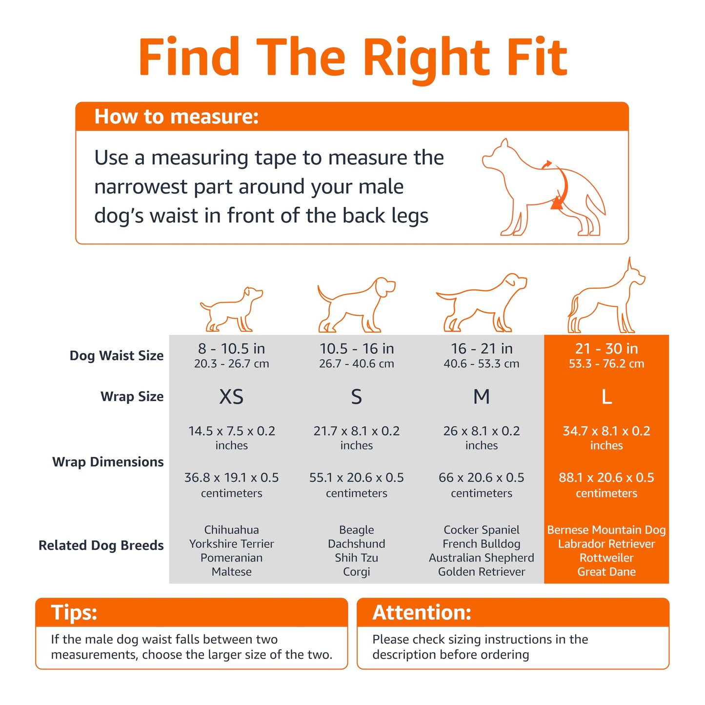 Amazon Basics Male Dog Diapers, 30 Count, Small, Ultra Absorbent Disposable Wrap with Secure Fit, Leakproof and Comfortable