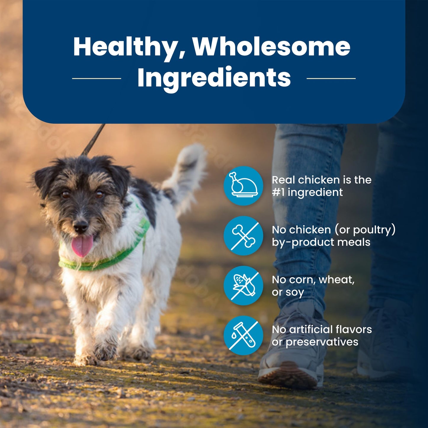 Blue Buffalo Life Protection Formula Natural Adult Dry Dog Food, Chicken and Brown Rice 5-lb Trial Size Bag