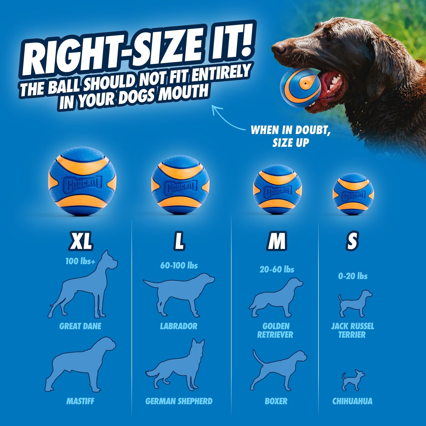 Chuckit! Ultra Ball Dog Toy - Medium Bouncy Fetch Balls For Dogs 20-60 lbs - Made from Durable Rubber - Floating Water Pet Toys - Size Medium - 2.5-inch Diameter - Pack of 2