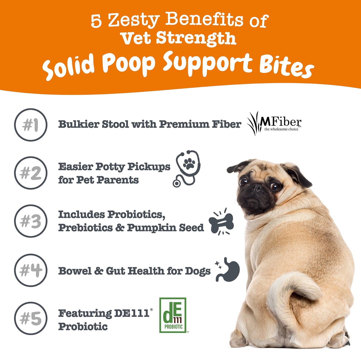 Zesty Paws Probiotics for Dogs - Digestive Enzymes for Gut Flora, Digestive Health, Diarrhea & Bowel Support - Clinically Studied DE111 - Dog Supplement Soft Chew for Pet Immune System - Pumpkin
