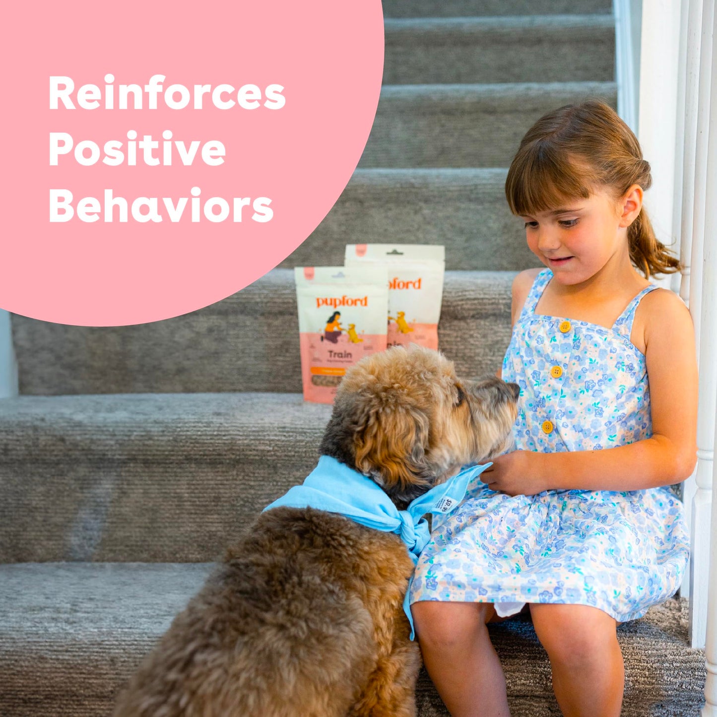 Pupford Freeze Dried Training Treats for Dogs & Puppies, 475+ Three Ingredient Bites (Beef Liver, 4 oz)