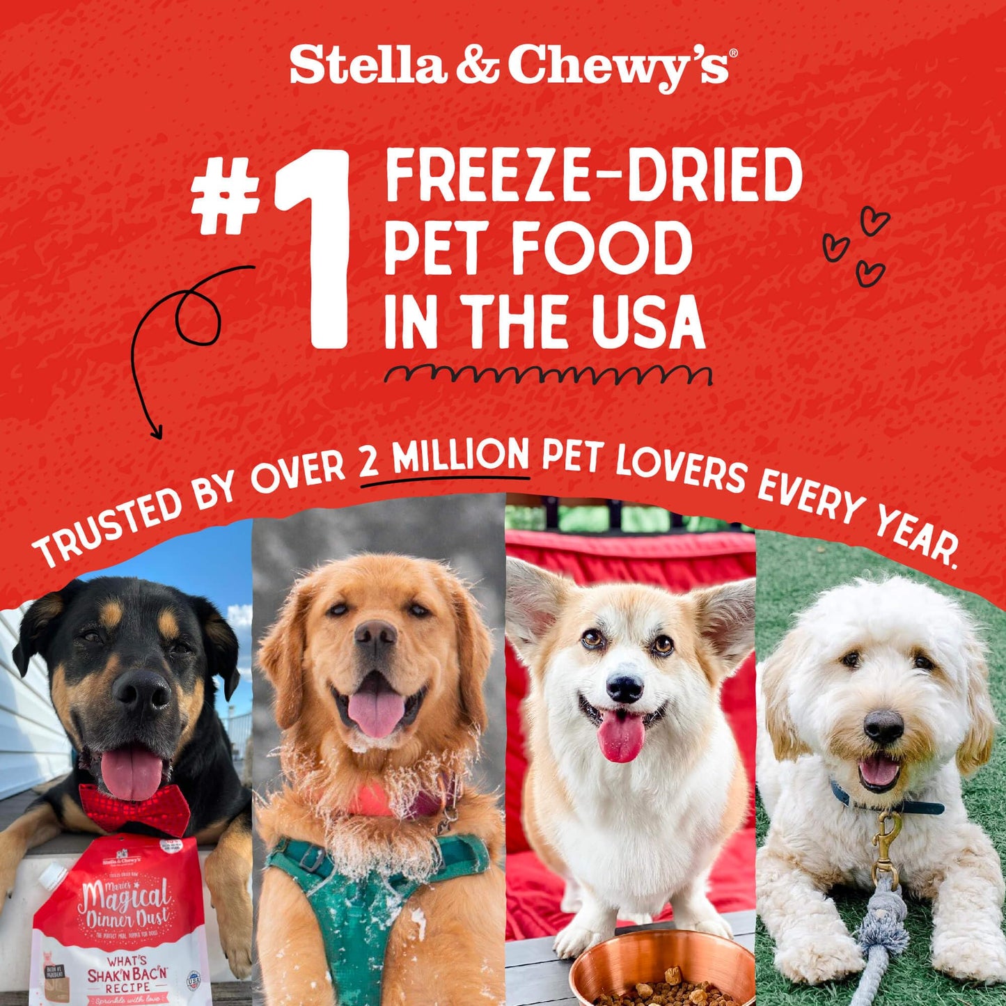 Stella & Chewy's Freeze-Dried Raw Chicken Meal Mixers- Dog Food Topper and Mixer - Made with 95% Cage-Free Chicken, Organs & Bone - Perfect for Picky Eaters - Grain-Free - 3.5oz