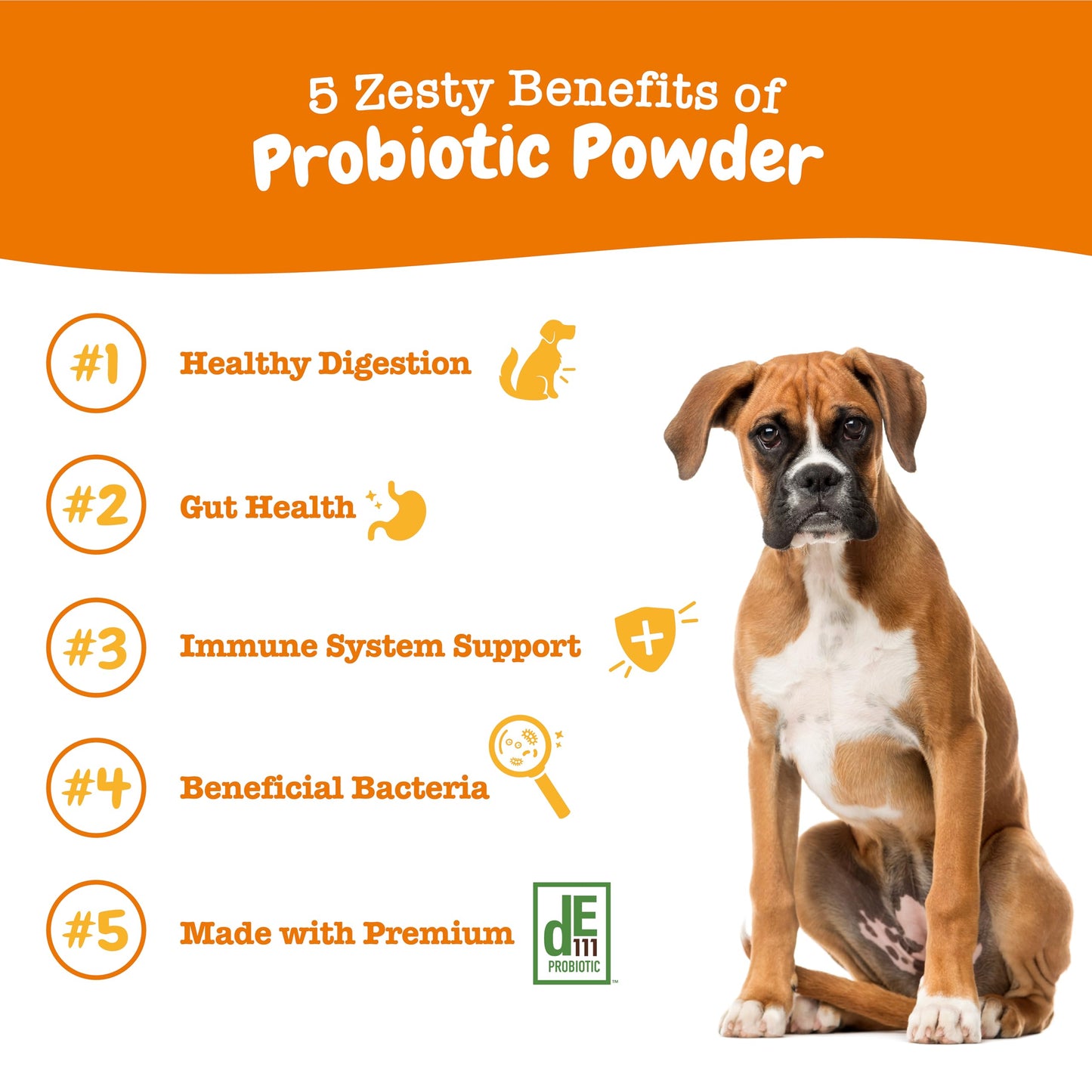 Zesty Paws Probiotics for Dogs - Digestive Enzymes for Gut Flora, Digestive Health, Diarrhea & Bowel Support - Clinically Studied DE111 - Dog Supplement Soft Chew for Pet Immune System - Pumpkin