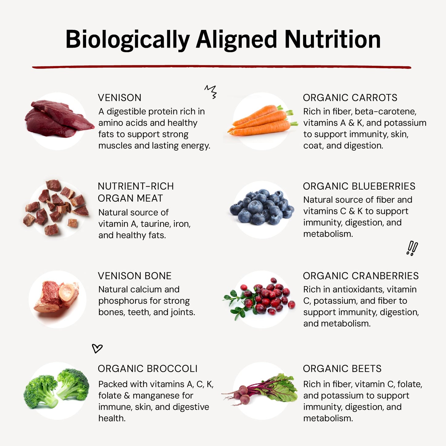 Stella & Chewy's Freeze-Dried Raw Dinner Patties - Dandy Lamb Recipe - High Protein Grain-Free Puppy & Dog Food - Perfect For Picky Eaters - 5.5 oz