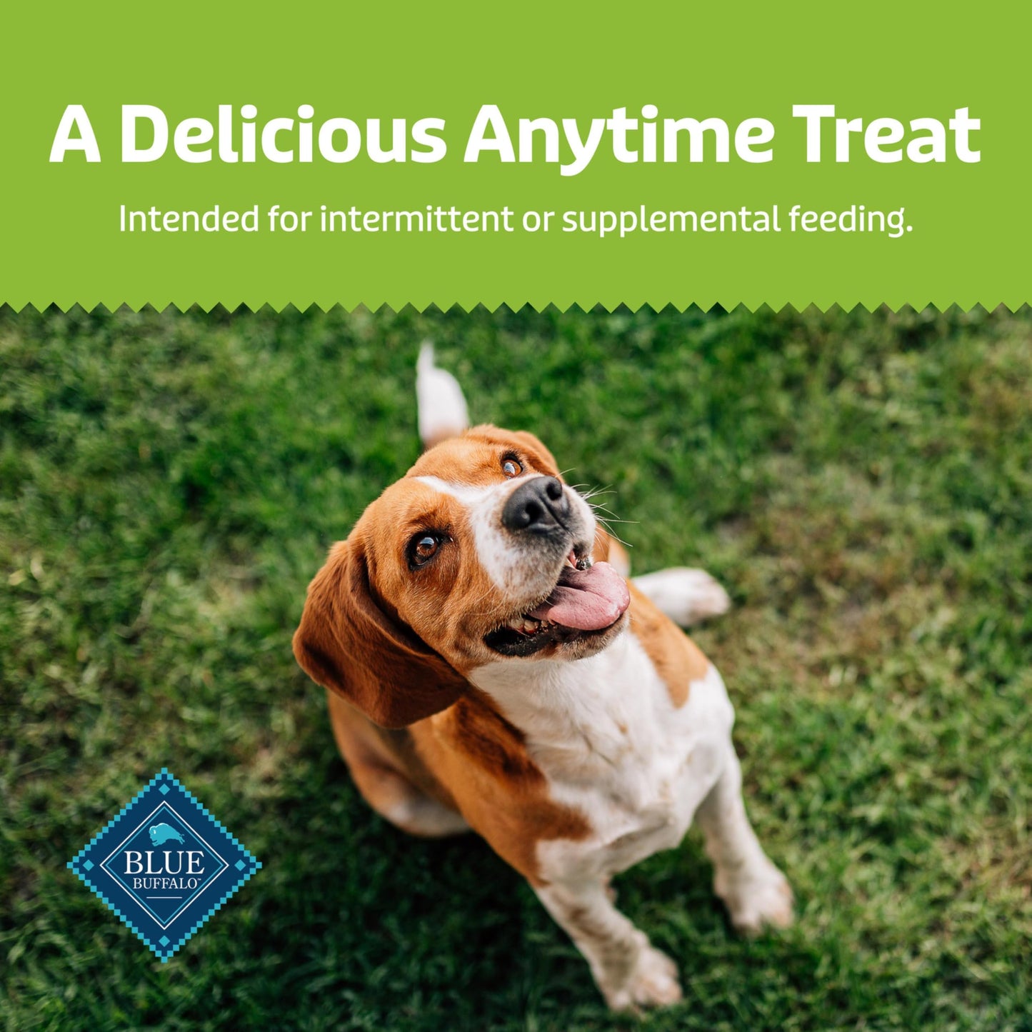 Blue Buffalo Health Bars Crunchy Dog Biscuits, Oven-Baked With Natural Ingredients, Pumpkin & Cinnamon, 16-oz Bag