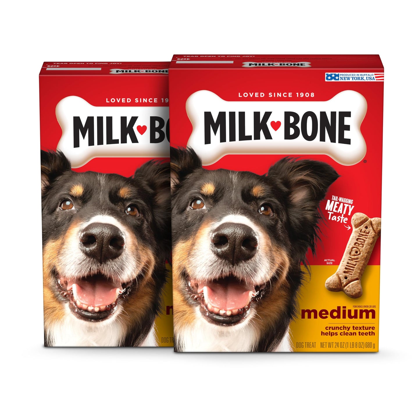 Milk-Bone Original Dog Treats Biscuits for Medium Dogs, 10 Pound