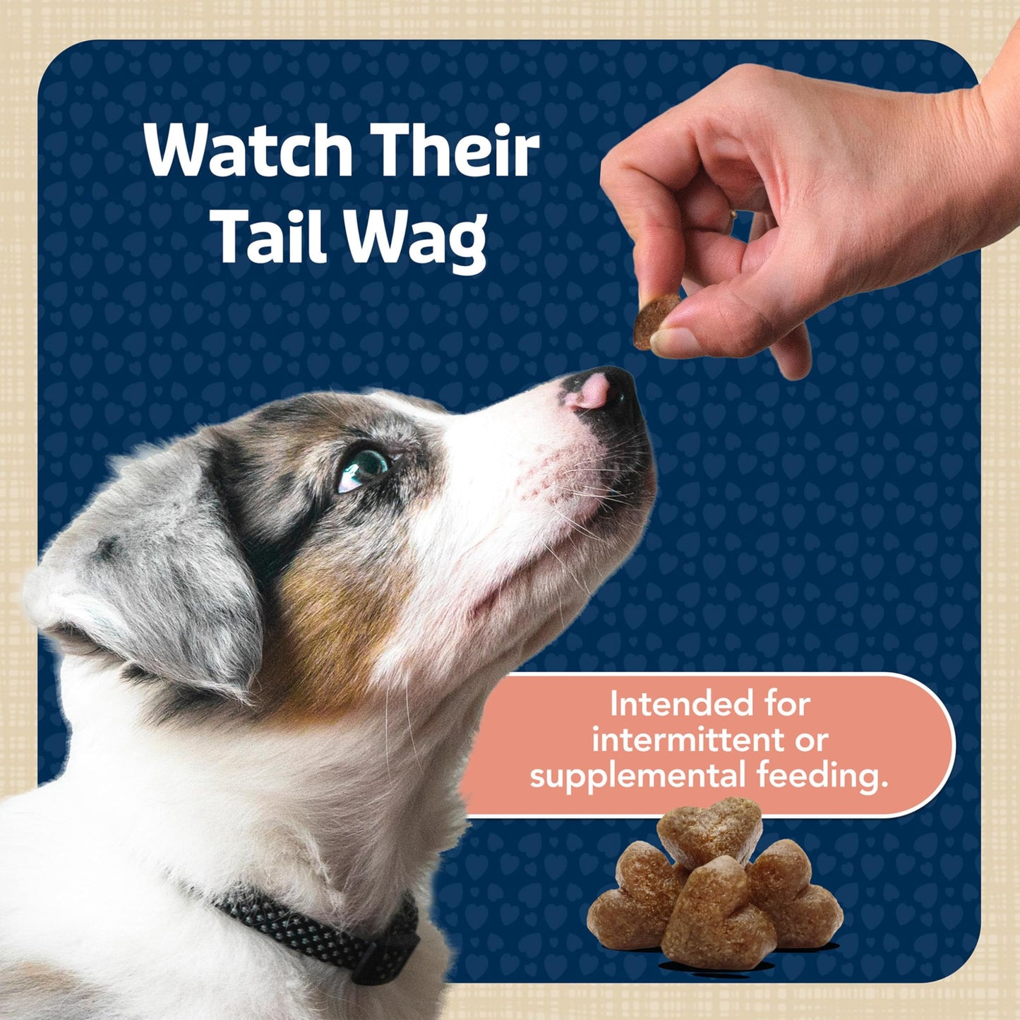 Blue Buffalo Bits Soft Dog Treats for Training, Made With Natural Ingredients & Enhanced with DHA, Chicken Recipe, 19-oz Bag