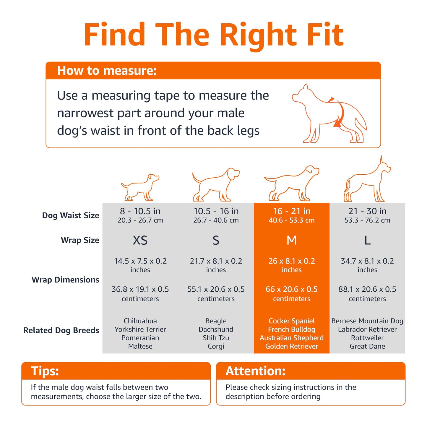 Amazon Basics Male Dog Diapers, 30 Count, Small, Ultra Absorbent Disposable Wrap with Secure Fit, Leakproof and Comfortable