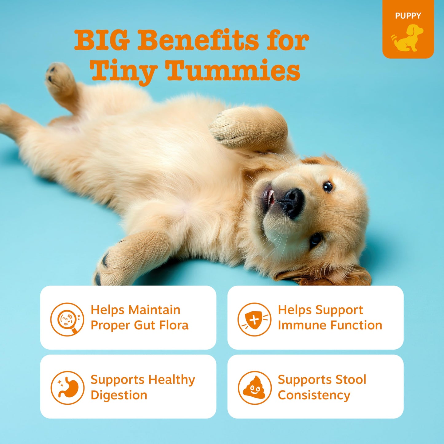 Zesty Paws Probiotics for Dogs - Digestive Enzymes for Gut Flora, Digestive Health, Diarrhea & Bowel Support - Clinically Studied DE111 - Dog Supplement Soft Chew for Pet Immune System - Pumpkin