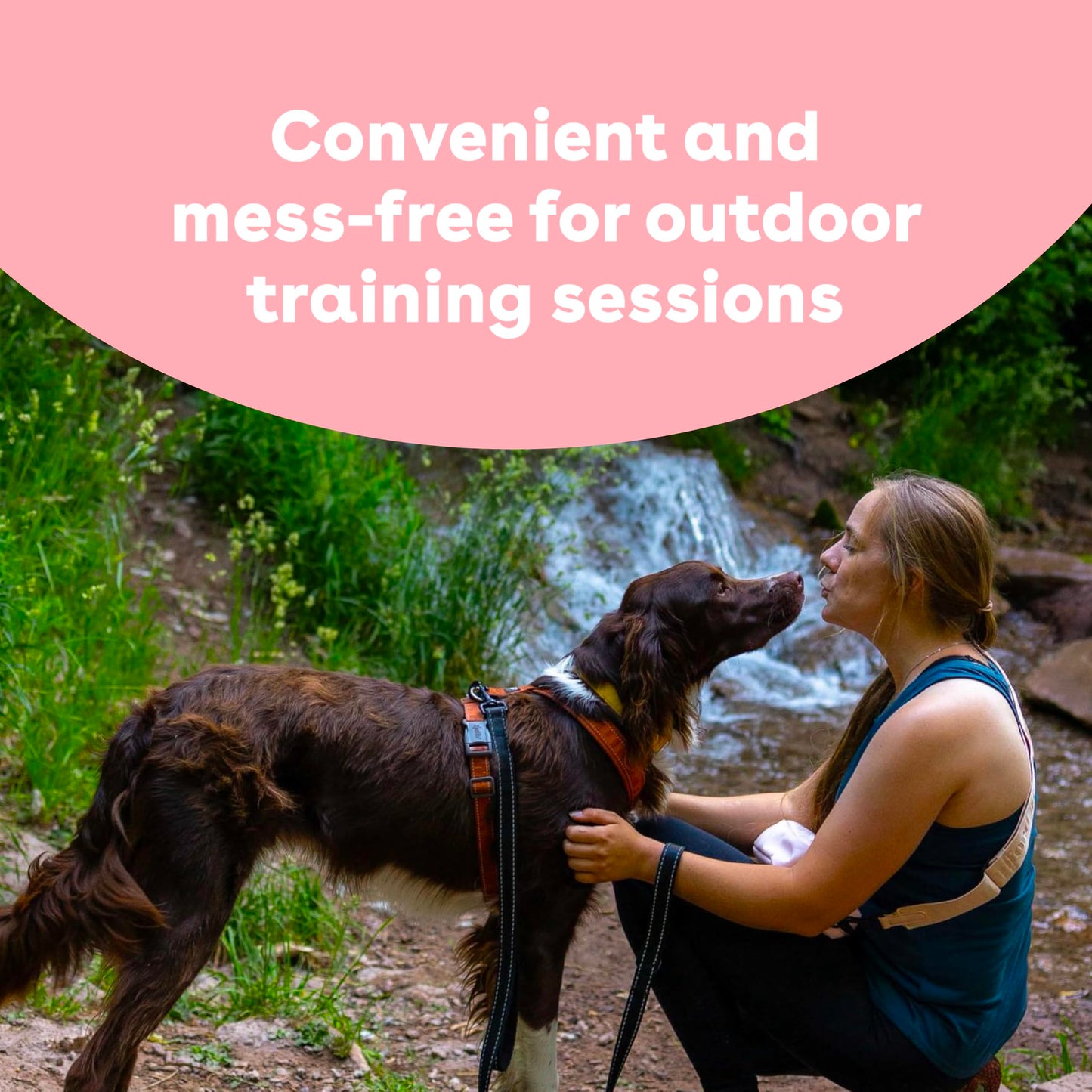 Pupford Freeze Dried Training Treats for Dogs & Puppies, 475+ Three Ingredient Bites (Beef Liver, 4 oz)