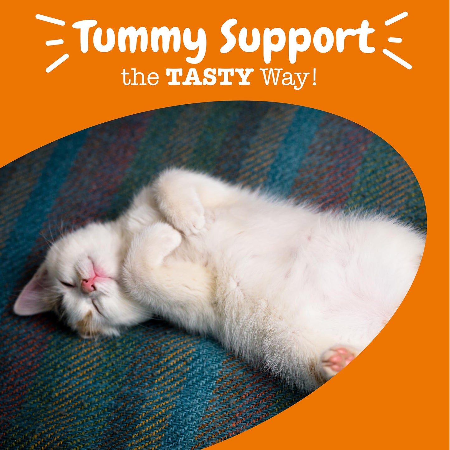 Zesty Paws Probiotics for Dogs - Digestive Enzymes for Gut Flora, Digestive Health, Diarrhea & Bowel Support - Clinically Studied DE111 - Dog Supplement Soft Chew for Pet Immune System - Pumpkin