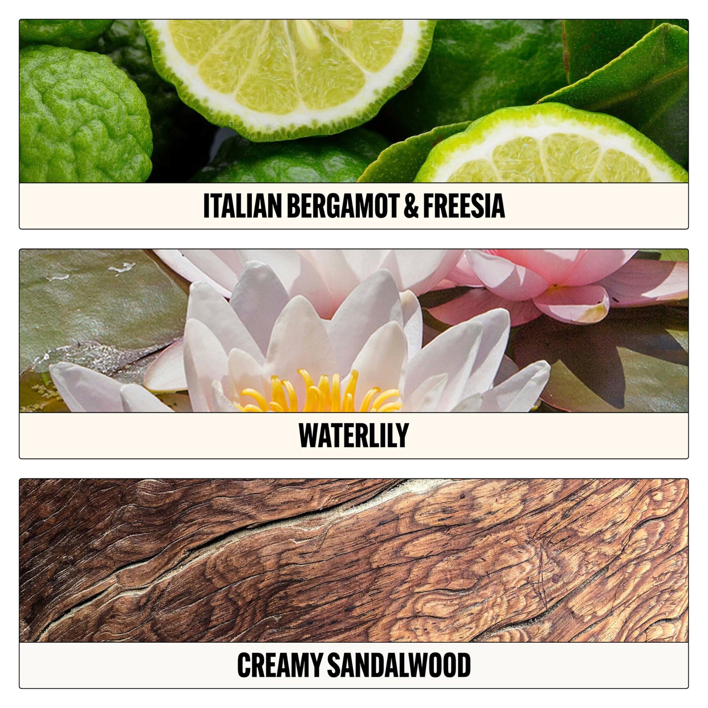 Le Monde Gourmand Pistachio Brûlée Eau de Parfum - 1 fl oz (30 ml) - Nutty, Vanilla Perfume Notes