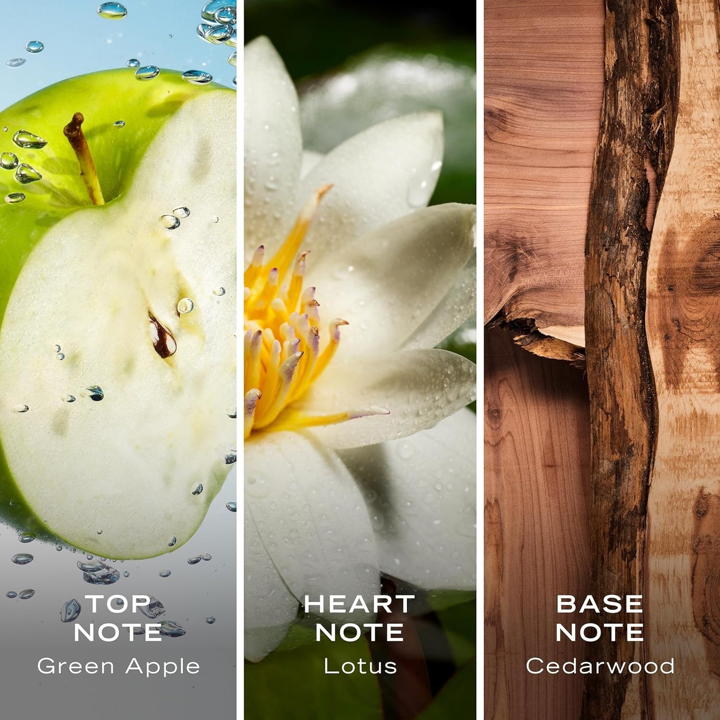 Nautica Voyage Eau De Toilette, Cologne and Fragrance For Men, Fresh, Romantic, Fruity Scent Woody, Aquatic Notes of Apple, Water Lotus, Cedarwood, and Musk Ideal Day Wear, Long Lasting 3.3Fl oz