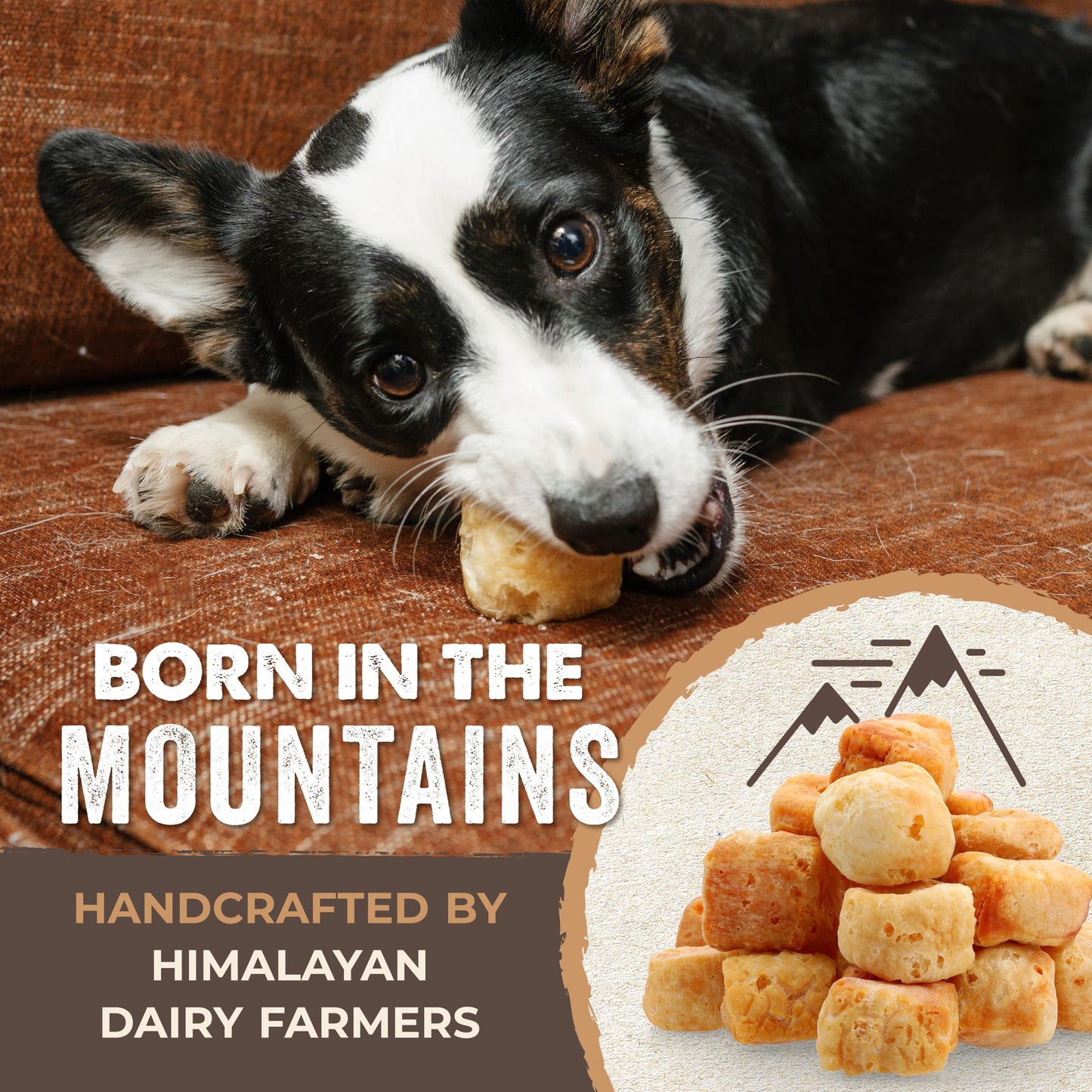 Mighty Paw Yak Cheese Dog Chews – All-Natural Long Lasting Hard Chew for Aggressive Chewers – High Protein, Odor-Free Dog Treat – 3 Ingredient Natural Yak Chews for Large Dogs – (4 Pack)