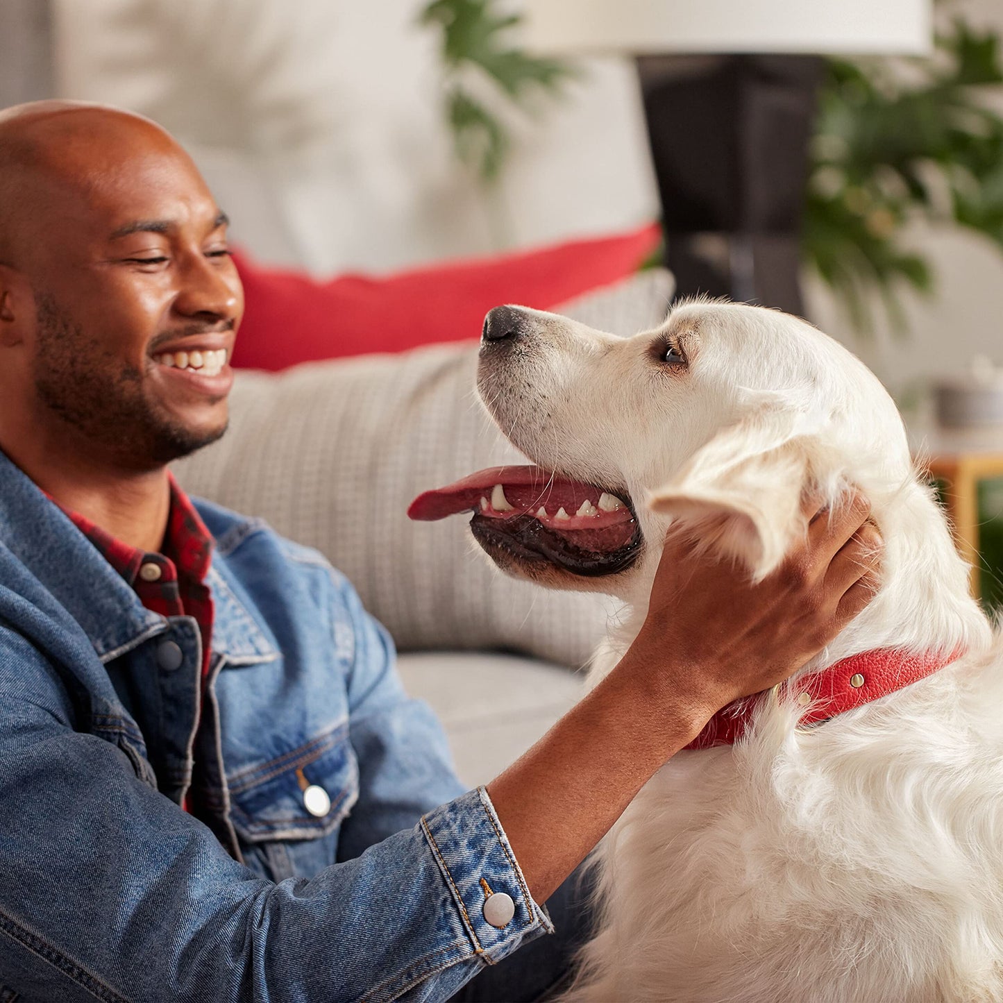 Milk-Bone Original Dog Treats Biscuits for Medium Dogs, 10 Pound