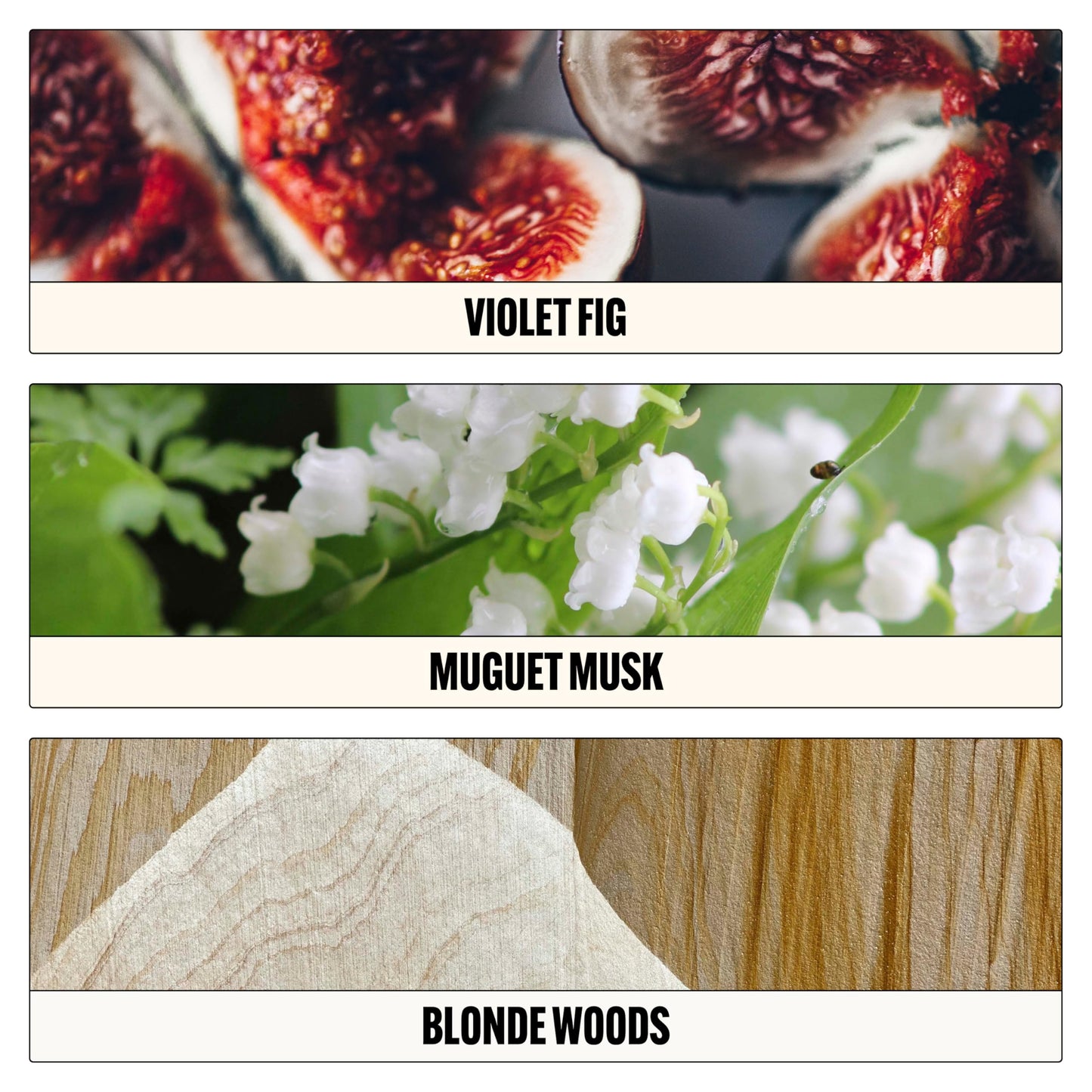 Le Monde Gourmand Pistachio Brûlée Eau de Parfum - 1 fl oz (30 ml) - Nutty, Vanilla Perfume Notes