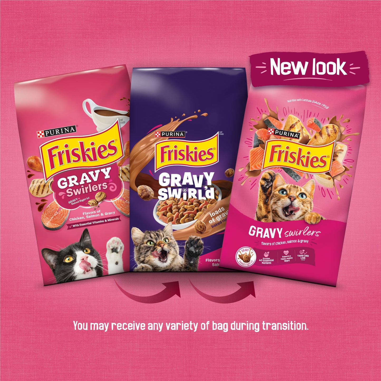 Purina Friskies Gravy Swirlers With Flavors of Chicken, Salmon and Gravy Dry Cat Food - 3.15 lb. Bag