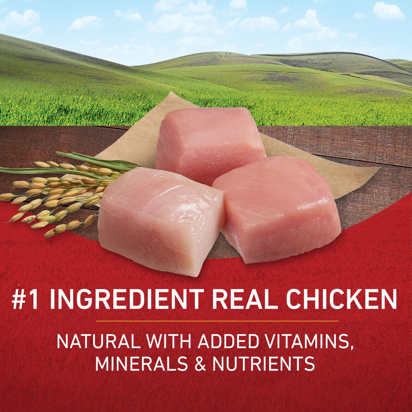 Purina ONE Dry Dog Food Lamb and Rice Formula - 31.1 lb. Bag