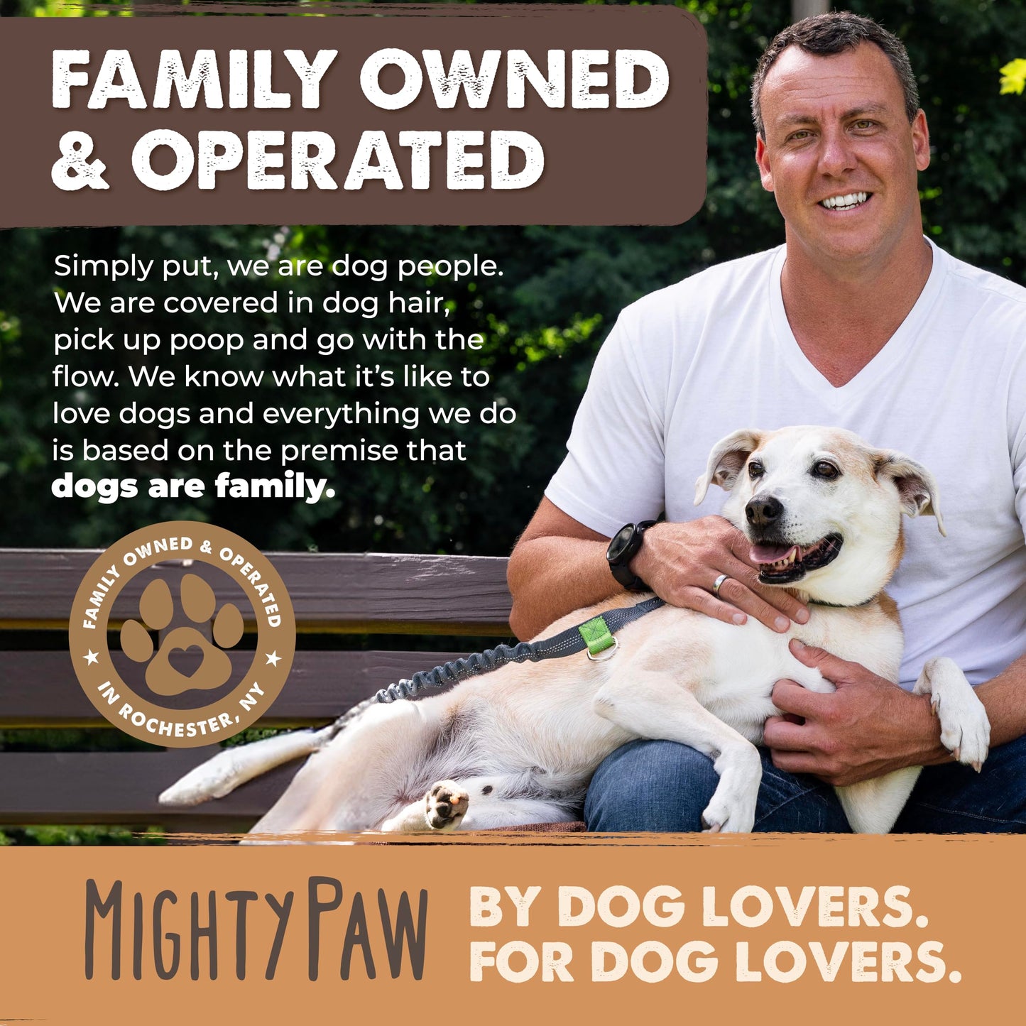 Mighty Paw Yak Cheese Dog Chews – All-Natural Long Lasting Hard Chew for Aggressive Chewers – High Protein, Odor-Free Dog Treat – 3 Ingredient Natural Yak Chews for Large Dogs – (4 Pack)