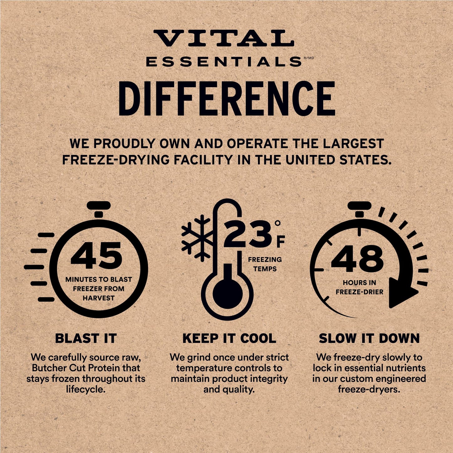 Vital Essentials Minnows Cat Treats, 0.5 oz | Freeze-Dried Raw | Single Ingredient | Grain Free, Gluten Free, Filler Free