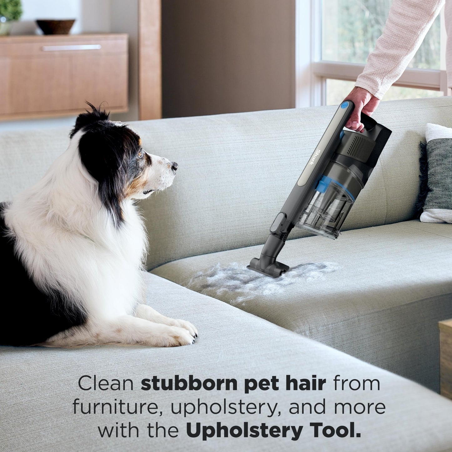 Shark | Pet Cordless Vacuum Cleaner | LED Headlights | Removable Handheld Vacuum for Pet Hair | Crevice Tool & Pet Multi-Tool Included | 40min Runtime | For Carpet & Hard Floors | Grey | IX141