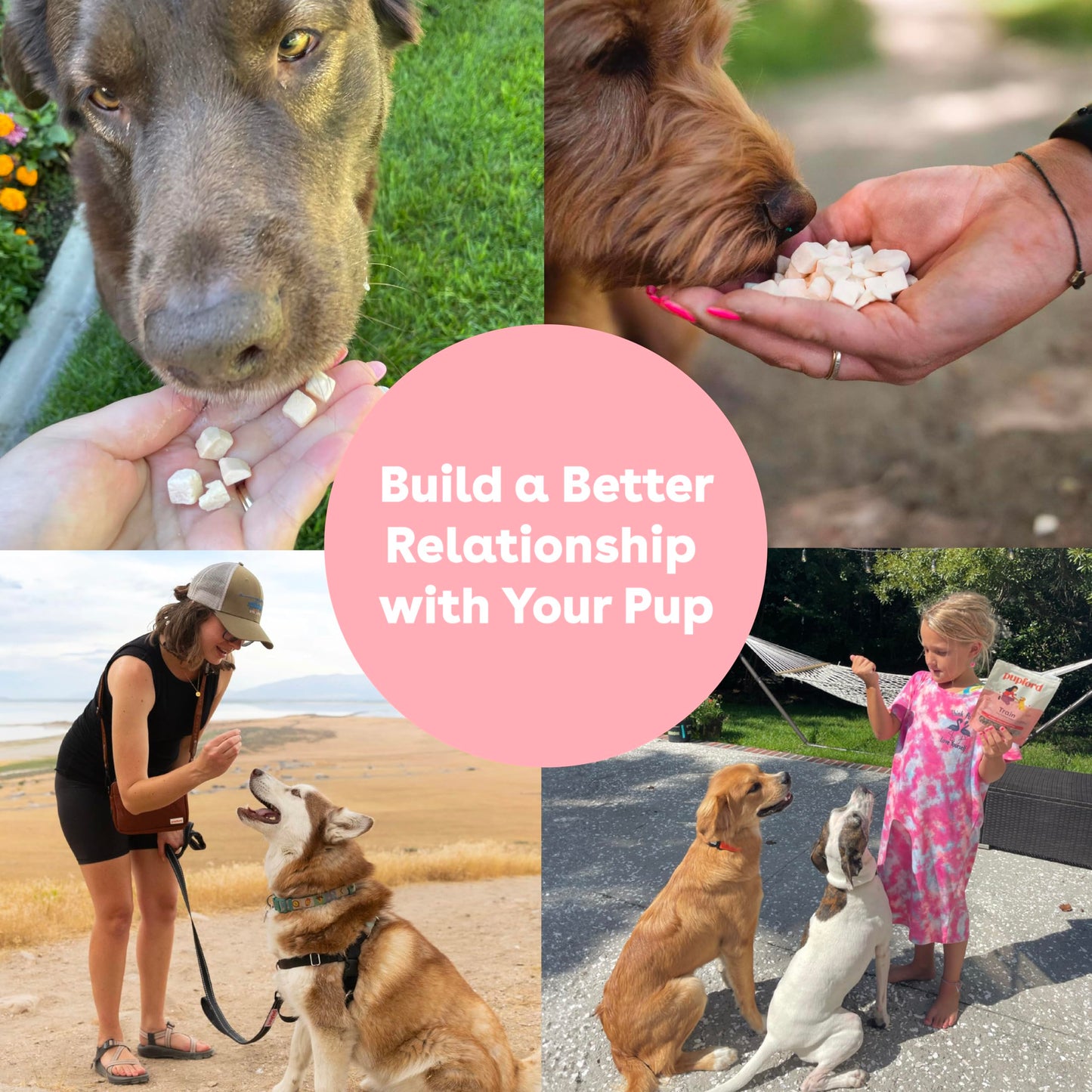 Pupford Freeze Dried Training Treats for Dogs & Puppies, 475+ Three Ingredient Bites (Beef Liver, 4 oz)